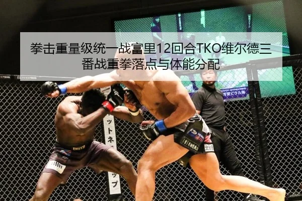 拳击重量级统一战富里12回合TKO维尔德三番战重拳落点与体能分配