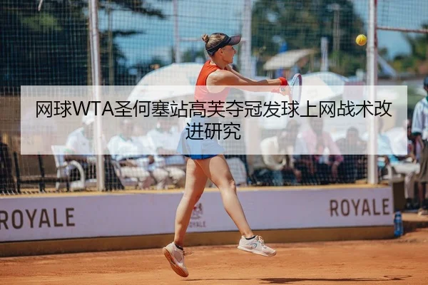 wang-qiu-sheng-he-sai-zhan-gao-fu-duo-guan-fa-qiu-shang-wang-zhan-shu-gai-jin-yan-jiu-2-501.jpg